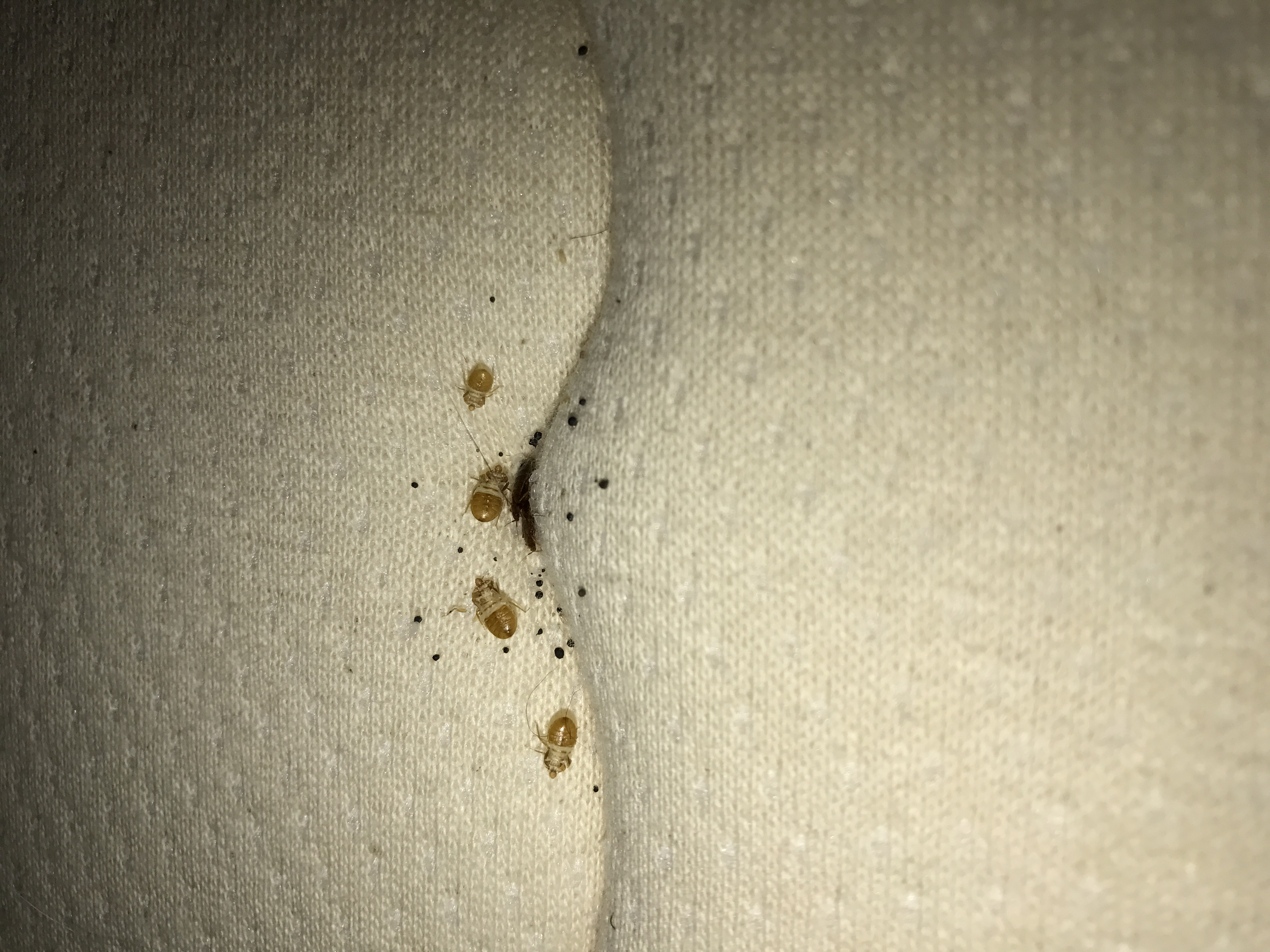 Παρακολούθηση και τεκμηρίωση